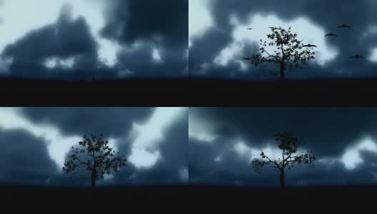 随着可怕的云生长的树木时间流逝高清在线视频素材下载