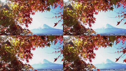 摄影:富士山在日本山梨县川口湖秋景高清在线视频素材下载