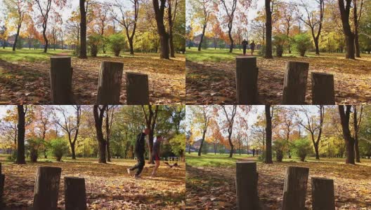 跑步者在秋日里一起慢跑，在公园里锻炼高清在线视频素材下载