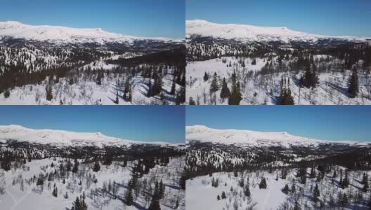 缓缓地飞过树木和巨大的山区冬季景观高清在线视频素材下载