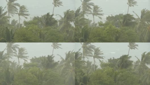 海滨景观在自然灾害飓风期间。强烈的旋风使椰子树摇摆。强热带风暴，自然力量，气候变化，台风海岸在雨季。高清在线视频素材下载