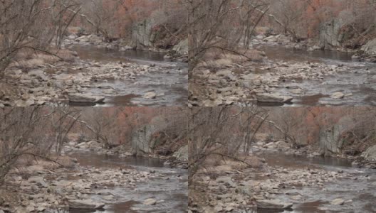 岩石溪，看下游-岩石溪公园-华盛顿特区-秋天高清在线视频素材下载