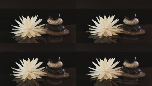 卵石石头和荷花睡莲花与水波平衡的慢动作高清在线视频素材下载