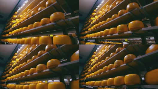 在冰箱的木架子上储存不同种类的奶酪。奶酪在储藏室的架子上。高清在线视频素材下载