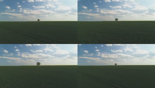 在蓝天白云的映衬下飞过绿色的农田，4k视频高清在线视频素材下载