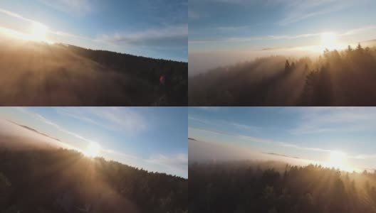 在晨雾中飞过薄雾的森林，在日出时，阳光照射在树梢。航拍在fpv无人机云朵自然景观与山地丘陵地形。电影的看法。高清在线视频素材下载