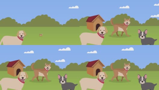 狗的吉祥物在田野动画高清在线视频素材下载