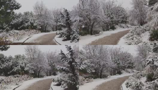 在一个初冬的暴风雪中，走在瓦拉多利德的坎特拉克公园的一条土路上高清在线视频素材下载