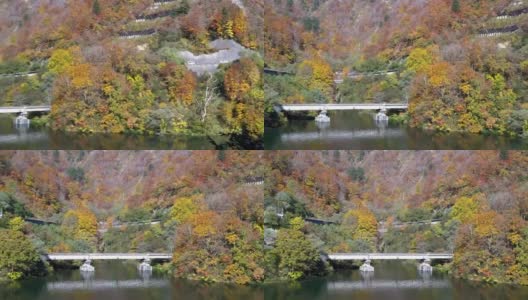 平拍:日本福岛，Tadami, Tagokura大坝上的湖和koyo红叶森林高清在线视频素材下载