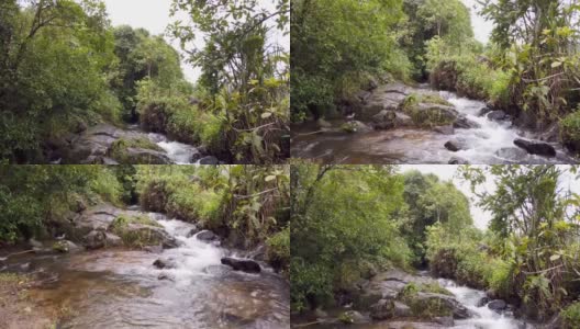 在印度卡纳塔克邦的季风期间，科威里河的一条小河静静地流淌在库格山山脉的丛林深处。高清在线视频素材下载