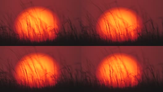 日落和草地，卡尔梅克共和国的大草原高清在线视频素材下载