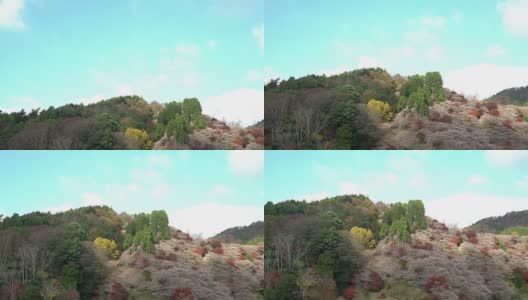 电影倾斜拍摄:日本名古屋，野原，丰田，秋红叶高清在线视频素材下载