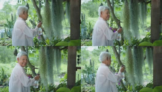 中镜头-一个快乐漂亮的亚洲高级妇女在郁郁葱葱的户外花园浇水，转身对着镜头微笑。快乐的退休生活。老年人的生活方式和保健理念。高清在线视频素材下载