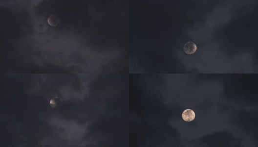 黄色满月的时间流逝被乌云和许多夜蝙蝠覆盖高清在线视频素材下载