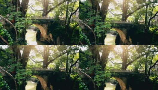 一座古老的桥和巨大的榕树，贵州，中国。高清在线视频素材下载
