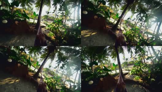 男性的双腿在热带棕榈树的吊床上摇摆着高清在线视频素材下载
