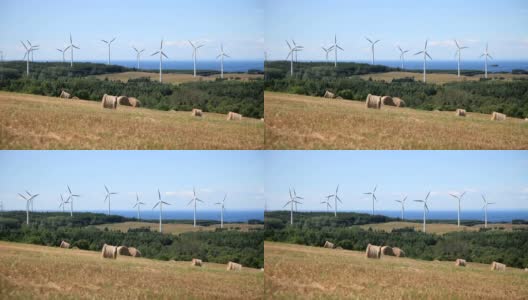 风力发电机及风力场高清在线视频素材下载