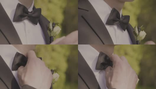 新郎身着婚礼礼服与蝴蝶相伴。西装，手，护理，领带，纠正，调整，时尚，蝴蝶结。Instagram颜色调色高清在线视频素材下载