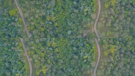 鸟瞰图飞过柏油两车道的森林道路与绿树茂密的树林生长的两边。高清在线视频素材下载