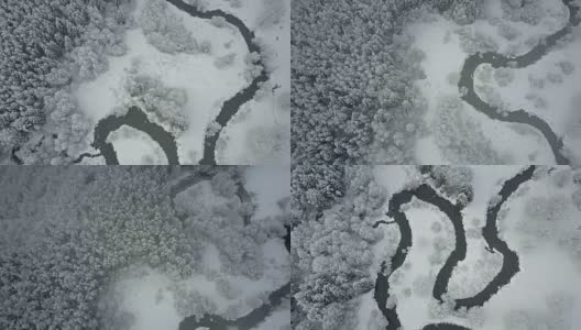 4 k。在云雾之上飞行，在冰冻的森林中狂野蜿蜒的河流。北方多雪的冬天。航拍全景高清在线视频素材下载