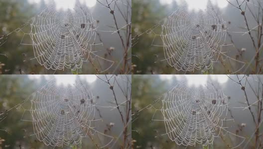 风中的湿网高清在线视频素材下载