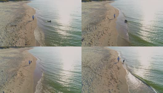 55岁的成熟、活跃、迷人的女人和她的大狗泽嫩猎犬在阳光明媚的秋日波罗的海的沙滩上玩耍。高空高角度4K超高清视频片段。高清在线视频素材下载