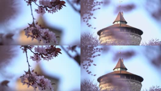 历史悠久的劳佛塔位于纽伦堡老城区，在春天被粉红色的樱花环绕。高清在线视频素材下载