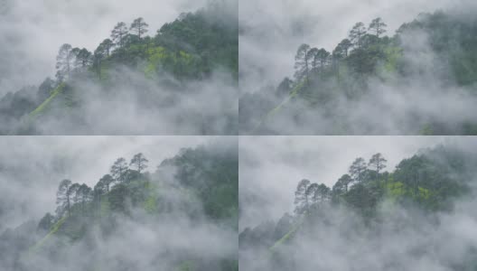 雾滚滚流过群山高清在线视频素材下载