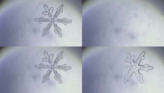 雪花融化微距拍摄高清在线视频素材下载