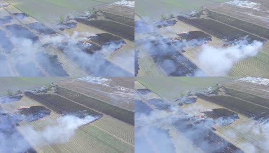 图为泰国大城府，在收获后燃烧生物质燃烧稻田高清在线视频素材下载