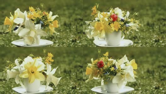黄色的水仙和野生的春天的鲜花在咖啡杯而不是花瓶旋转在模糊的草地背景与复制空间为你的祝贺文本。节日问候邀请卡设计。高清在线视频素材下载