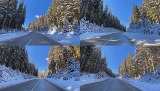 驾车的观点，在雪地的乡村道路穿过雪白的森林高清在线视频素材下载