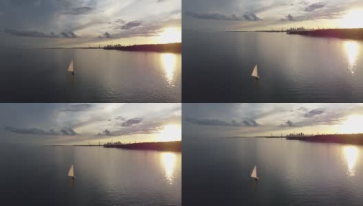 安大略湖上的帆船，背景是多伦多市中心高清在线视频素材下载
