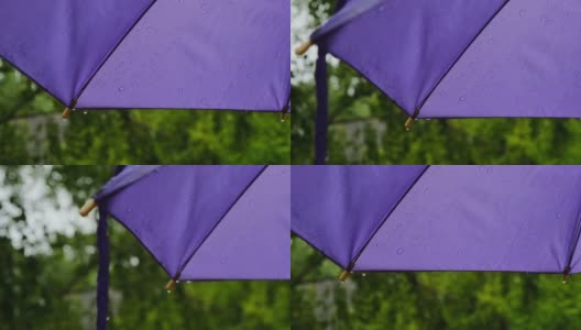 雨点落在伞上。紫色雨伞的特写，绿色的夏日公园背景上的雨滴。雨。慢镜头。夏雨。滴和色斑。多雨的天气。高清在线视频素材下载