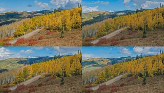 秋天的金色山谷-秋天的云滚动超过一个山谷的金色白杨林，鲁特国家森林，蒸汽船泉，科罗拉多州，美国。高清在线视频素材下载