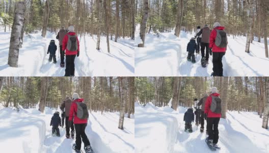 家庭在暴风雪后的冬天在户外穿雪鞋高清在线视频素材下载