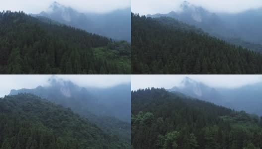 中国四川峨眉山的鸟瞰图高清在线视频素材下载