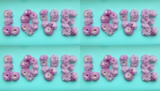 定格动画中，粉色菊花的“爱”一词出现在精致的蓝色背景上，然后消失。高清在线视频素材下载
