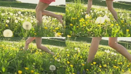 超级慢莫:女人跑在野花上高清在线视频素材下载