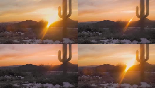 仙人掌和冬天沙漠中的日落。高清在线视频素材下载