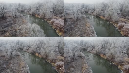 冬天无人机在河边飞行，河边的树木和灌木上结着白霜和雾凇高清在线视频素材下载