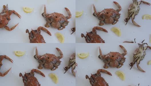 煮红蟹，美味健康的海鲜高清在线视频素材下载