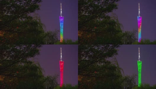 夜广州广州塔顶公园树木全景4k时间中国高清在线视频素材下载