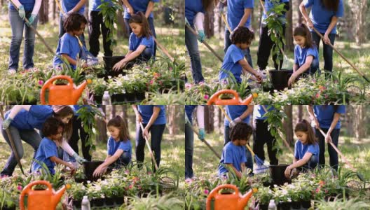 环境美化。志愿者们在春天的时候在公园里种上花、树、植物。高清在线视频素材下载