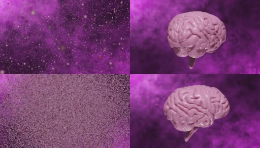 3D渲染现实大脑的粒子旋转与浅粉色在抽象移动粉色背景高清在线视频素材下载
