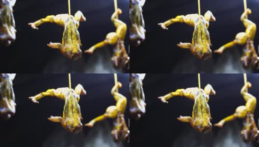 越南会安夜市街头餐馆的油炸青蛙高清在线视频素材下载