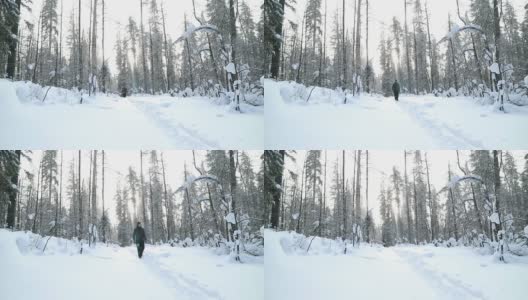 美丽的冬天森林在雪。跑步的人。雪花慢慢飘落，阳光灿烂。人走。高清在线视频素材下载