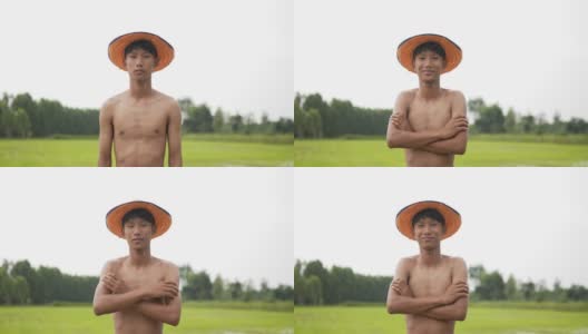 年轻的农民赤膊站在稻田里，双臂交叉高清在线视频素材下载