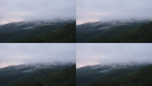 在多雾的日子里，绿色的雨林山脉和山丘的景观高清在线视频素材下载