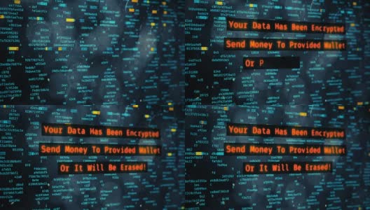黑客信息要求在电脑屏幕上花钱，数据加密，进行网络攻击高清在线视频素材下载